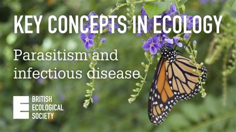 Key Concepts In Ecology Parasitism And Infectious Disease Animal