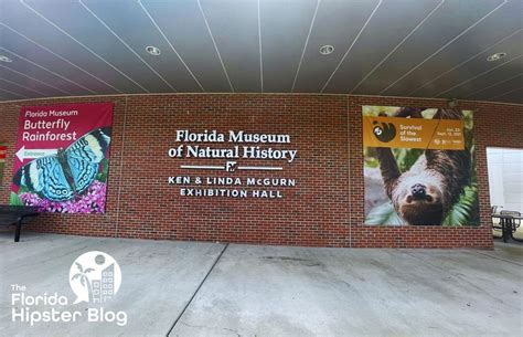 5 Best Museums in Gainesville YOU DON'T WANT TO MISS in 2024! - Florida Hipster