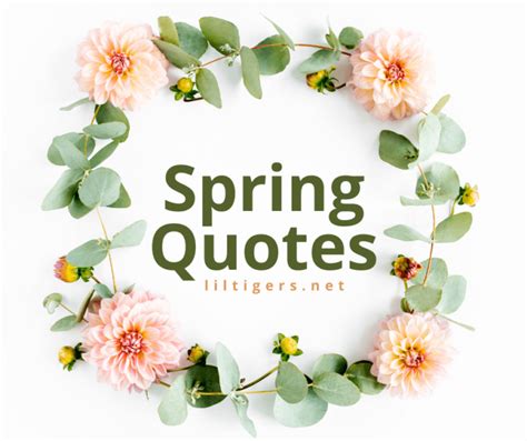 160 Best Hello Spring Quotes for Kids - Lil Tigers