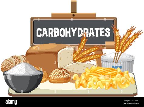 Vector Illustration Of Various Carbohydrate Rich Foods Stock Vector