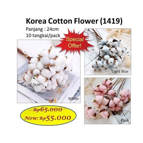 Jual Korea Cotton Flower Bunga Kapas Tidak Bisa Layu Dried Flower