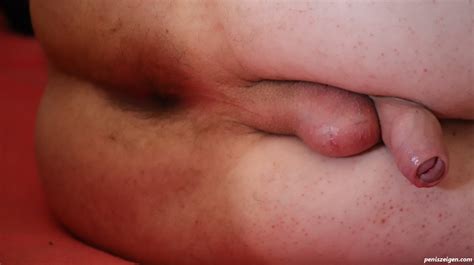 Img Kostenlose Penis Bilder Und Schwanzfotos