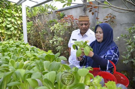 Penuhi Kebutuhan Barito Keluarga Gubernur Saya Cukup Ke Pekarangan