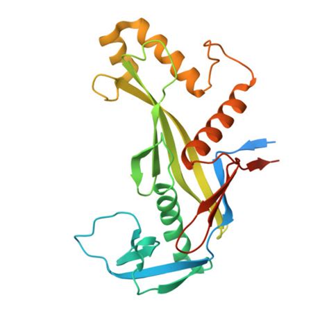 Rcsb Pdb Old Crystal Structure Of Archaeoglobus Fulgidus Afago N