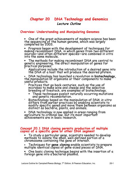 Campbell chapter 20 - Summary Essential Biology - Chapter 20 DNA ...