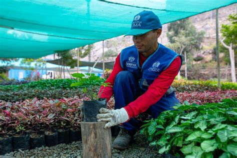 Serpar Recomienda Cómo Cuidar Tus Plantas En El Invierno