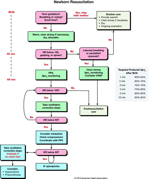 Part 15 Neonatal Resuscitation Circulation