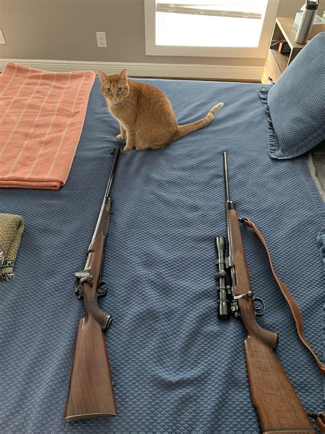 Mauser action Monday? : r/guns