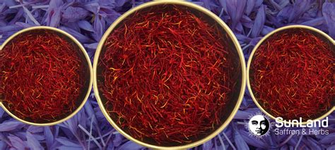 What Is Poushalfilaments Saffron The Official Website Of Sunland