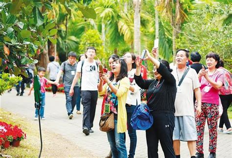 春節黃金周第五天各市縣旅遊市場平穩有序 遊客進入返程高峰期 每日頭條