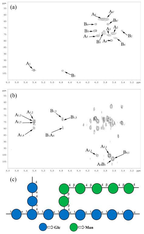 Polymers Free Full Text Extraction Structure And Immunoregulatory