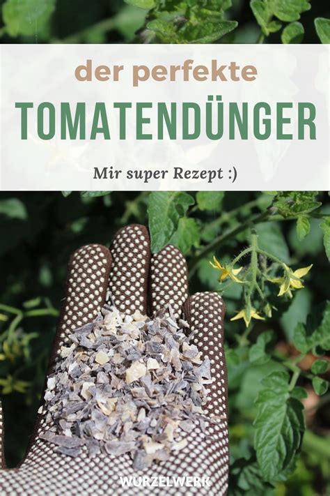 Tomaten Richtig D Ngen Wann Wie Mit Welchen D Ngern Wurzelwerk