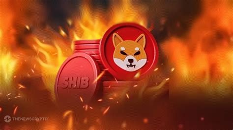 Shiba Inu Ecosystem Tokens Set To Work Together As New Privacy Layer 3