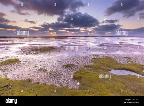 Reclaimed Land Netherlands Hi Res Stock Photography And Images Alamy