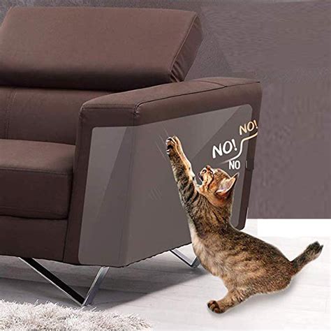 What Can You Use To Deter Cats From Scratching Furniture At Paul Kellar