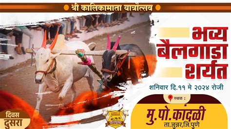 🔴liveश्री कालिकामाता यात्रौत्सव भव्य बैलगाडा शर्यत दुसरा दिवस कांदळी ताजुन्नर जिपुणे