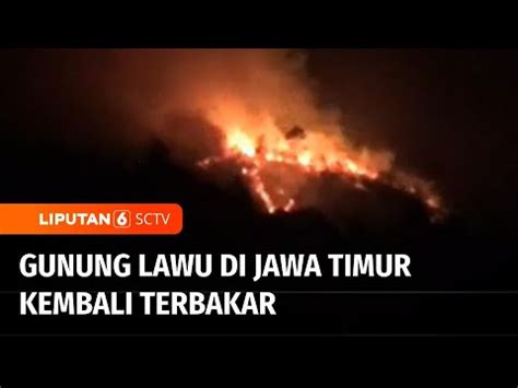 Gunung Lawu Kembali Terbakar Melumat Sekitar Hektare Hutan Lindun