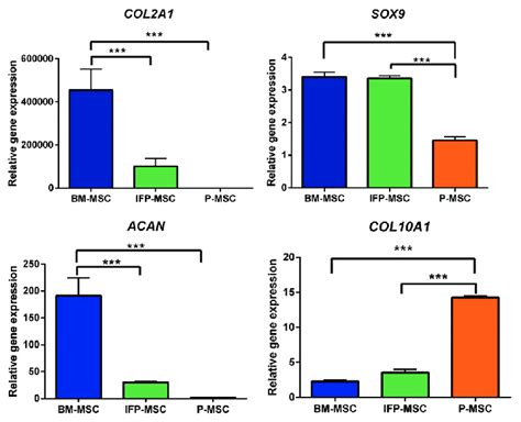 Quantitative Analysis Of Cartilage Specific Genes Col A Sox And