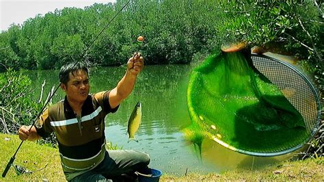 Umpan Lumut Sangat Jitu Buat Mancing Belanak Kiper Dan Baronang Youtube