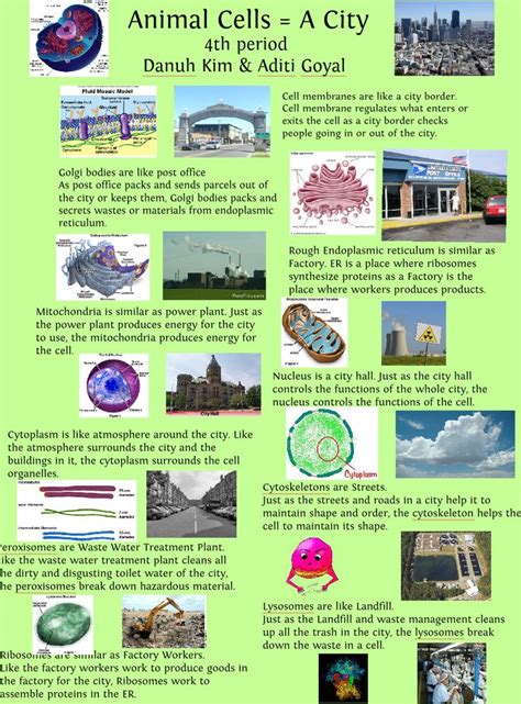 Cell City Project Brochure Samples Cell Simile Project Publish With Glogster Biology