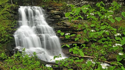 Spring Pennsylvania Wallpapers Wallpaper Cave