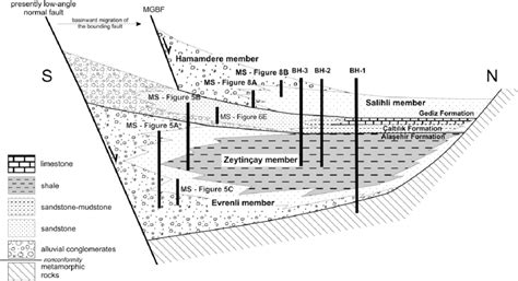 Schematic Cross Section Illustrating The Facies And Thickness