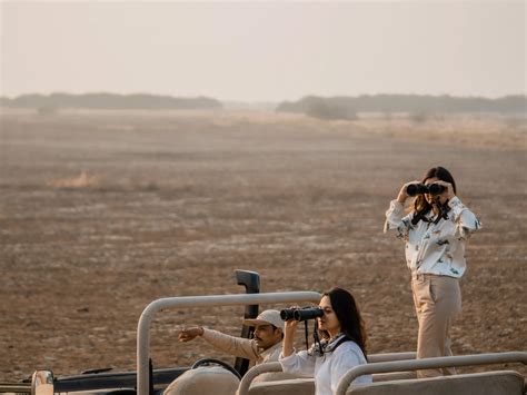 Kenya Safari Essentials: Packing Tips for Your African Adventure - Just