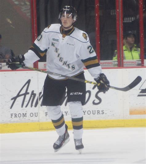 daniel bernhardt ice hockey wiki fandom