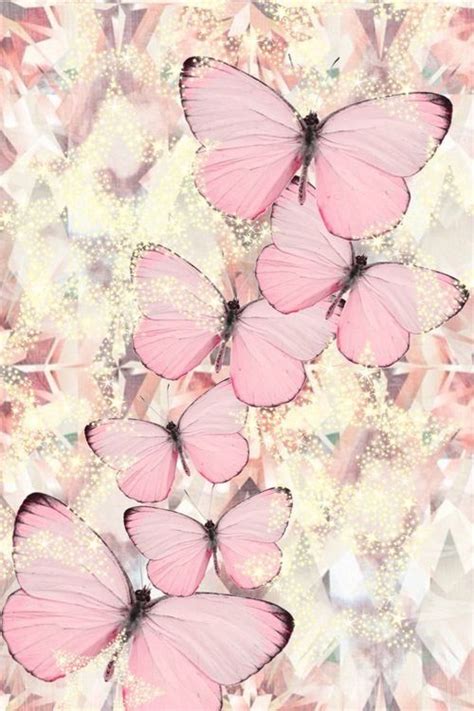 Pin By Flavia Regina Hasiler On Wallpaper Butterfly Wallpaper