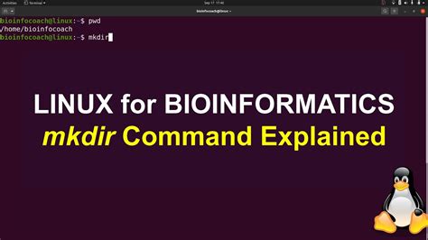 Mkdir Command Explained In Linux For Bioinformatics Beginners Youtube