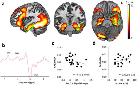 Results Of The Brain Imaging Analysis A The Fmri Bold Signal