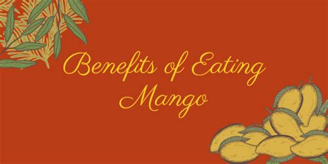 Benefits Of Eating Mango Why You Should Include This Fruit