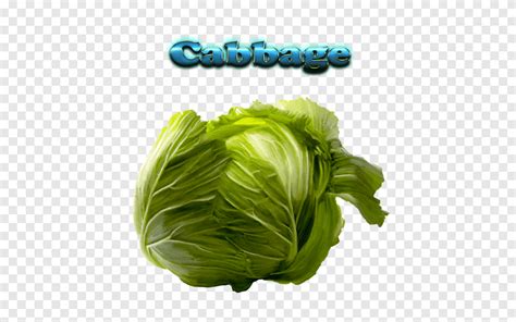 Lechuga Romana Col Coles Verdes Verduras Cruc Feras Verdes Hojas Col