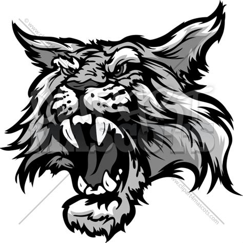 Wildcat Vector at GetDrawings | Free download