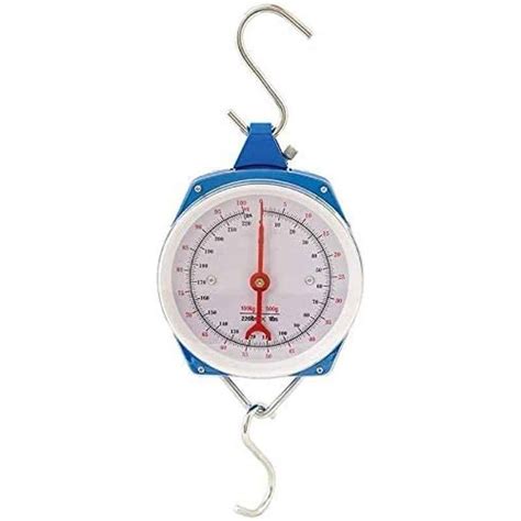 Buy Abbasali 100 Kg Hanging Scale Online At Price AED 39