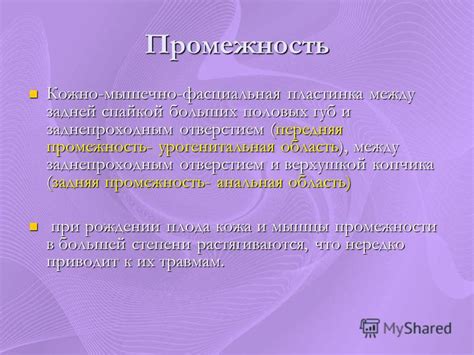 Строение Девственной Плевы - fourservic