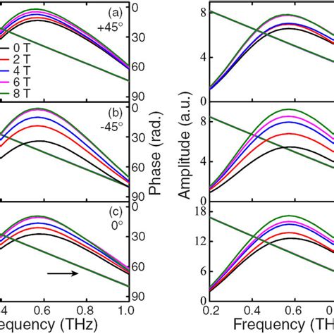 Amplitude And Phase Angle Of The Thz Field Transmitted Through Bi In