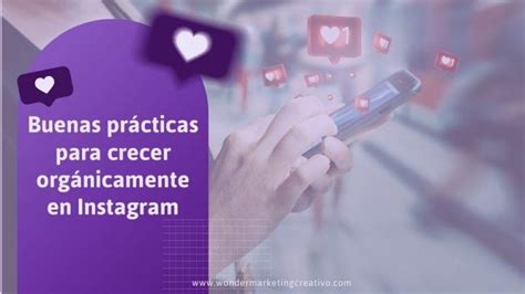 Buenas Prácticas Para Crecer Orgánicamente En Instagram