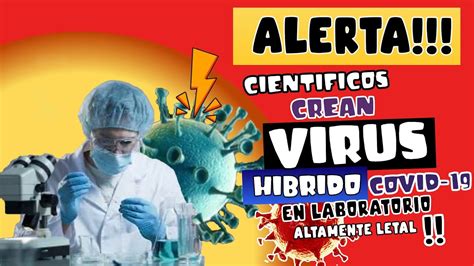 Alerta Cient Ficos Crean Virus H Brido De Covid A Partir De