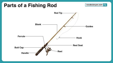 parts   fishing rod learn  names  key components