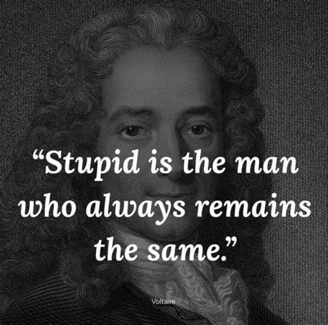 Voltaire Quotes On Life Archives Nsf News And Magazine