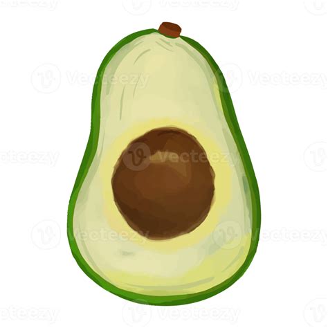 Watercolor Avocado Hand Painted Fruit Clipart 8530113 Png