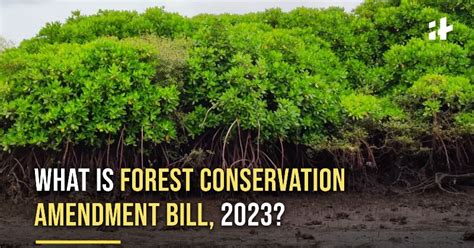 What Is The Forest Conservation Amendment Bill 2023