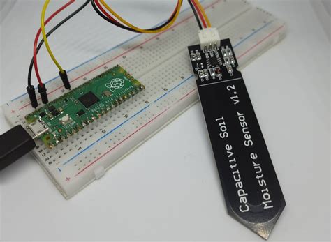 Start Your Smart Gardening Project With Capacitive Soil Moisture Sensor