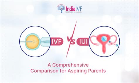 IVF Vs IUI Understanding The Differences Success Rates And Costs