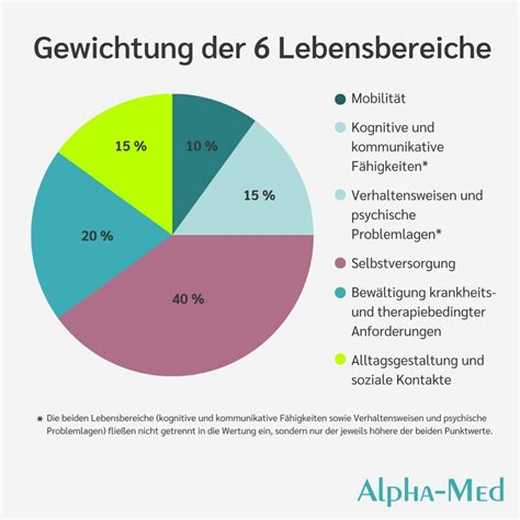 Pflegegrad einfach erklärt Alpha Med