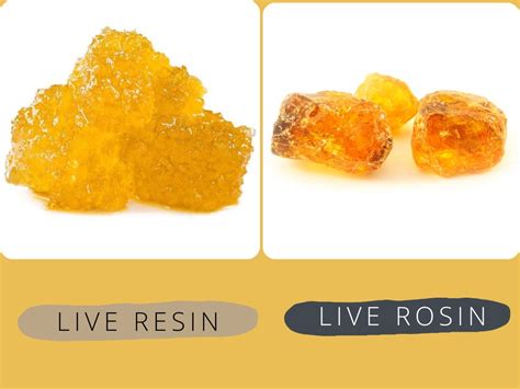 Live Resin And Live Rosin Whats The Difference