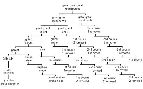 Fusion: Relationship Chart