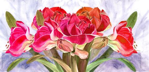 Amaryllis Flowers Branch With Flowers And Buds Watercolor Collage Of