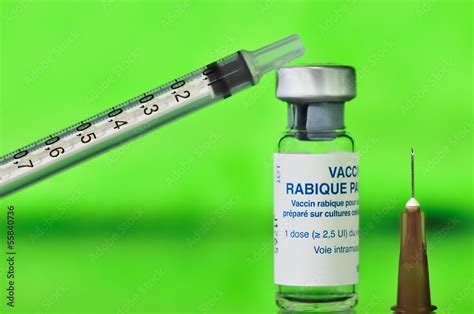 Rage Vaccin Antirabique Stock Foto Adobe Stock